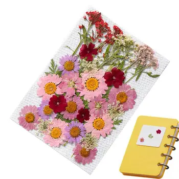 35 бр/пакет, Ретро магазин Сушени Цветя, Наръчник по Сушени цветя и растения, декоративни етикети с истински цветя Изображение